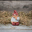 Klarborg Annual gnome pair 2002 - Simon & Sanne 