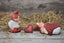 Klarborg Annual gnome pair 2002 - Simon & Sanne 