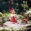 Klarborg Year gnome pair 2008 - Niels & Anja 