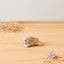 Klarborg Harebell - Ninus 