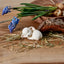 Klarborg Lamb - Lulle 