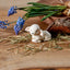 Klarborg Lamb - Lammi 