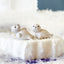 Snorre & Sigfus Klarborg Baby seal 
