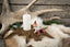 Elliot Klarborg Candle Holder 