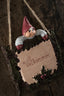 Ingolf Klarborg Elf 