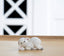 Klarborg Lamb - Liddi 