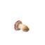 Klarborg Mushrooms 